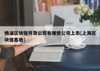 杨浦区块链开发公司有哪些公司上市[上海区块链基地]